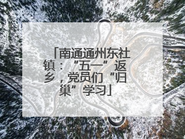 南通通州东社镇：“五一”返乡，党员们“归巢”学习