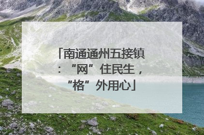 南通通州五接镇：“网”住民生，“格”外用心
