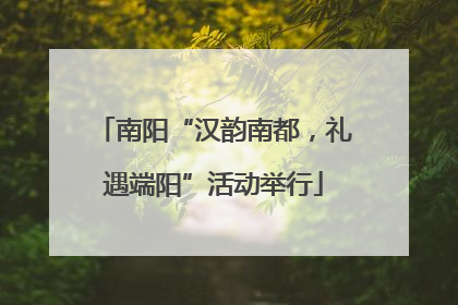 南阳“汉韵南都，礼遇端阳”活动举行
