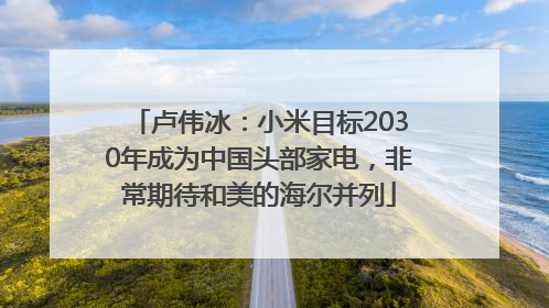 卢伟冰：小米目标2030年成为中国头部家电，非常期待和美的海尔并列