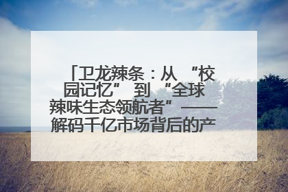 卫龙辣条：从 “校园记忆” 到 “全球辣味生态领航者”——解码千亿市场背后的产品创新与全链路破圈