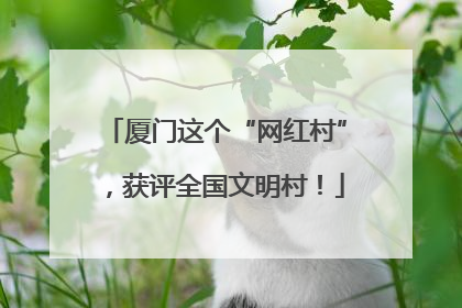 厦门这个“网红村”，获评全国文明村！