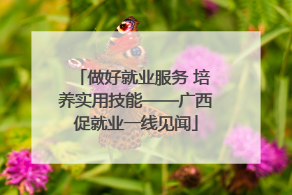 做好就业服务 培养实用技能——广西促就业一线见闻