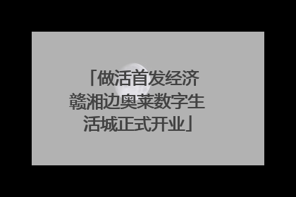 做活首发经济 赣湘边奥莱数字生活城正式开业