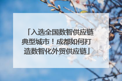 入选全国数智供应链典型城市！成都如何打造数智化外贸供应链