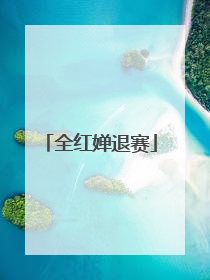 全红婵退赛
