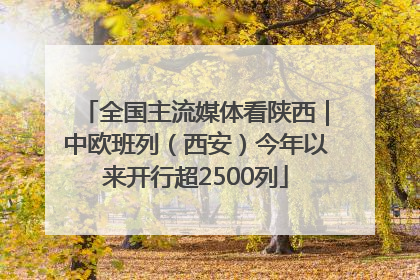 全国主流媒体看陕西｜中欧班列（西安）今年以来开行超2500列
