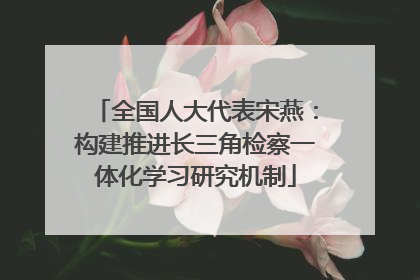 全国人大代表宋燕：构建推进长三角检察一体化学习研究机制