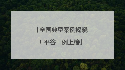 全国典型案例揭晓！平谷一例上榜
