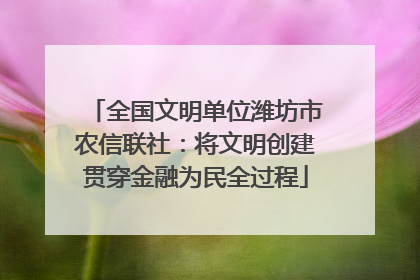 全国文明单位潍坊市农信联社：将文明创建贯穿金融为民全过程