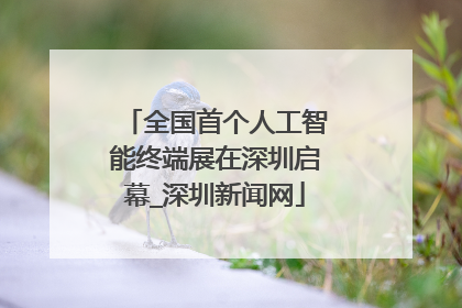 全国首个人工智能终端展在深圳启幕_深圳新闻网