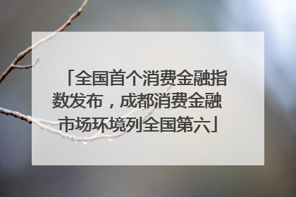 全国首个消费金融指数发布，成都消费金融市场环境列全国第六