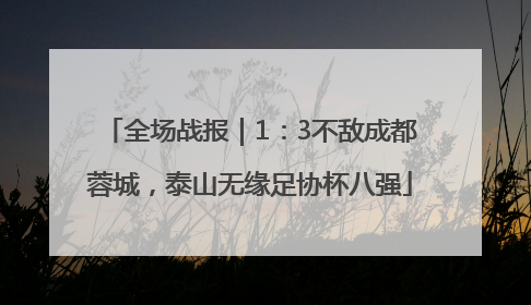 全场战报｜1：3不敌成都蓉城，泰山无缘足协杯八强