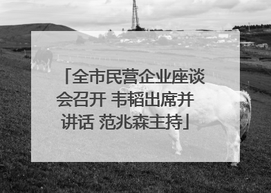 全市民营企业座谈会召开 韦韬出席并讲话 范兆森主持