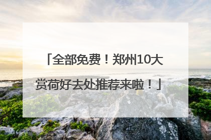 全部免费！郑州10大赏荷好去处推荐来啦！