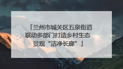 兰州市城关区五泉街道联动多部门打造乡村生态景观“洁净长廊”