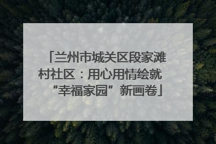 兰州市城关区段家滩村社区：用心用情绘就“幸福家园”新画卷