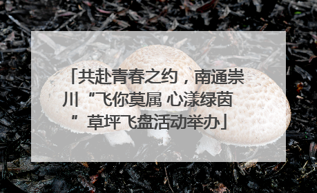 共赴青春之约，南通崇川“飞你莫属 心漾绿茵”草坪飞盘活动举办