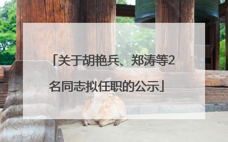 关于胡艳兵、郑涛等2名同志拟任职的公示