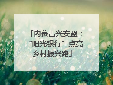 内蒙古兴安盟：“阳光银行”点亮乡村振兴路