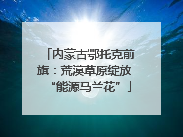 内蒙古鄂托克前旗：荒漠草原绽放“能源马兰花”