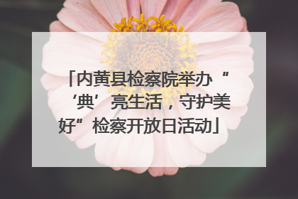 内黄县检察院举办“‘典’亮生活，守护美好”检察开放日活动
