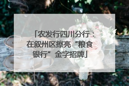 农发行四川分行：在叙州区擦亮“粮食银行”金字招牌