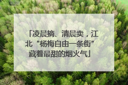 凌晨摘、清晨卖，江北“杨梅自由一条街”藏着最甜的烟火气