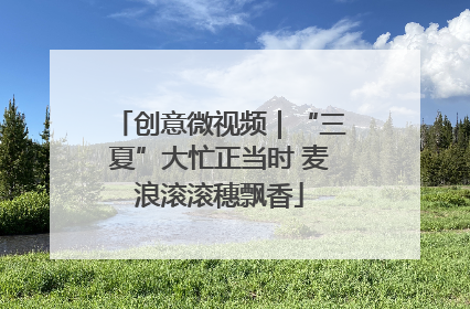 创意微视频｜“三夏”大忙正当时 麦浪滚滚穗飘香