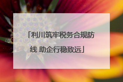 利川筑牢税务合规防线 助企行稳致远