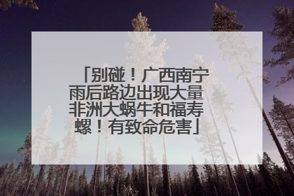 别碰！广西南宁雨后路边出现大量非洲大蜗牛和福寿螺！有致命危害