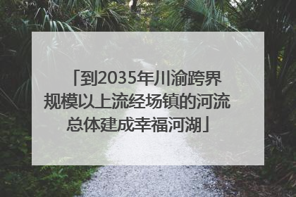到2035年川渝跨界规模以上流经场镇的河流总体建成幸福河湖