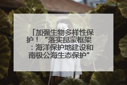 加强生物多样性保护！“落实昆蒙框架：海洋保护地建设和南极公海生态保护”主题论坛将举办