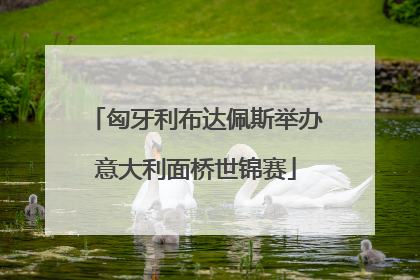 匈牙利布达佩斯举办意大利面桥世锦赛