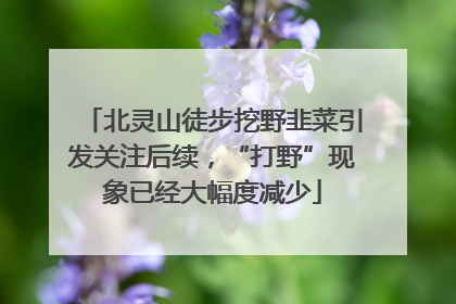 北灵山徒步挖野韭菜引发关注后续，“打野”现象已经大幅度减少