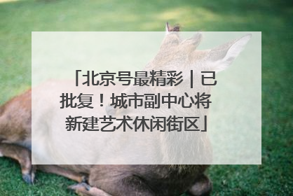 北京号最精彩｜已批复！城市副中心将新建艺术休闲街区