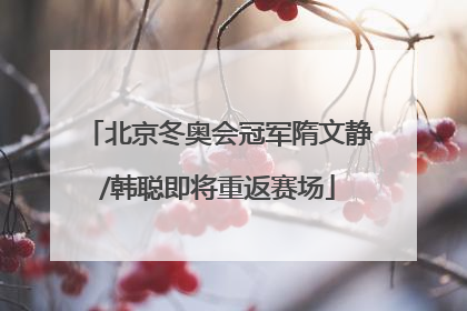 北京冬奥会冠军隋文静/韩聪即将重返赛场