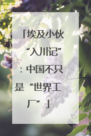 埃及小伙“入川记”：中国不只是“世界工厂”