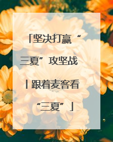 坚决打赢“三夏”攻坚战丨跟着麦客看“三夏”