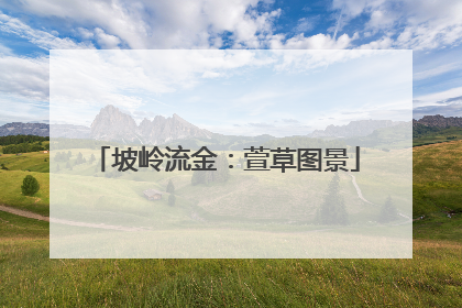 坡岭流金：萱草图景