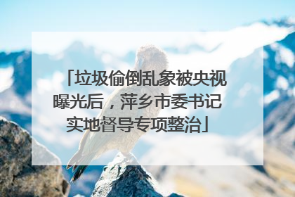 垃圾偷倒乱象被央视曝光后，萍乡市委书记实地督导专项整治