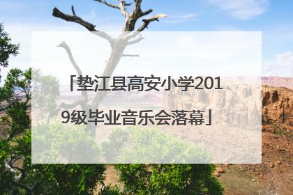 垫江县高安小学2019级毕业音乐会落幕