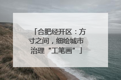 合肥经开区：方寸之间，细绘城市治理“工笔画”