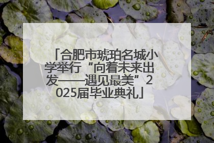 合肥市琥珀名城小学举行“向着未来出发——遇见最美”2025届毕业典礼