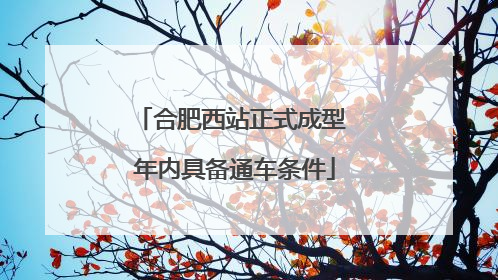 合肥西站正式成型 年内具备通车条件