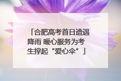 合肥高考首日遭遇降雨 暖心服务为考生撑起“爱心伞”
