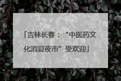 吉林长春：“中医药文化消夏夜市”受欢迎