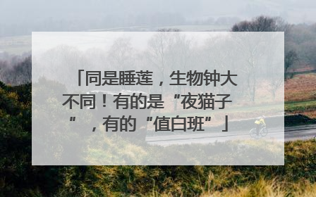 同是睡莲，生物钟大不同！有的是“夜猫子”，有的“值白班”