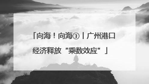 向海！向海③丨广州港口经济释放“乘数效应”