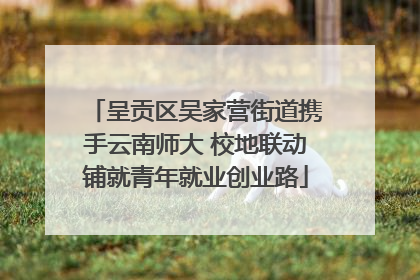 呈贡区吴家营街道携手云南师大 校地联动铺就青年就业创业路
